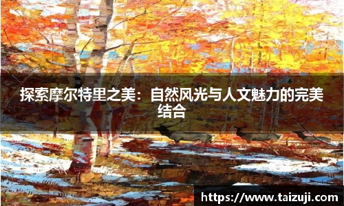 彩神彩票vIII